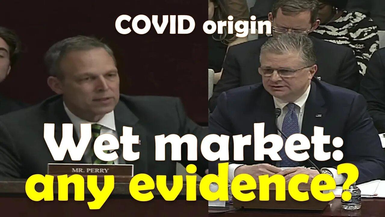 EXPLOSIVE hearing: Any evidence that the virus came from the wet market as opposed to the Wuhan lab?