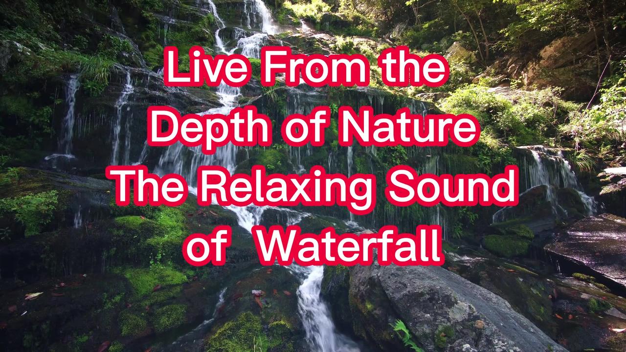 Live From the  Depth of Nature The Relaxing Sound of  Waterfall