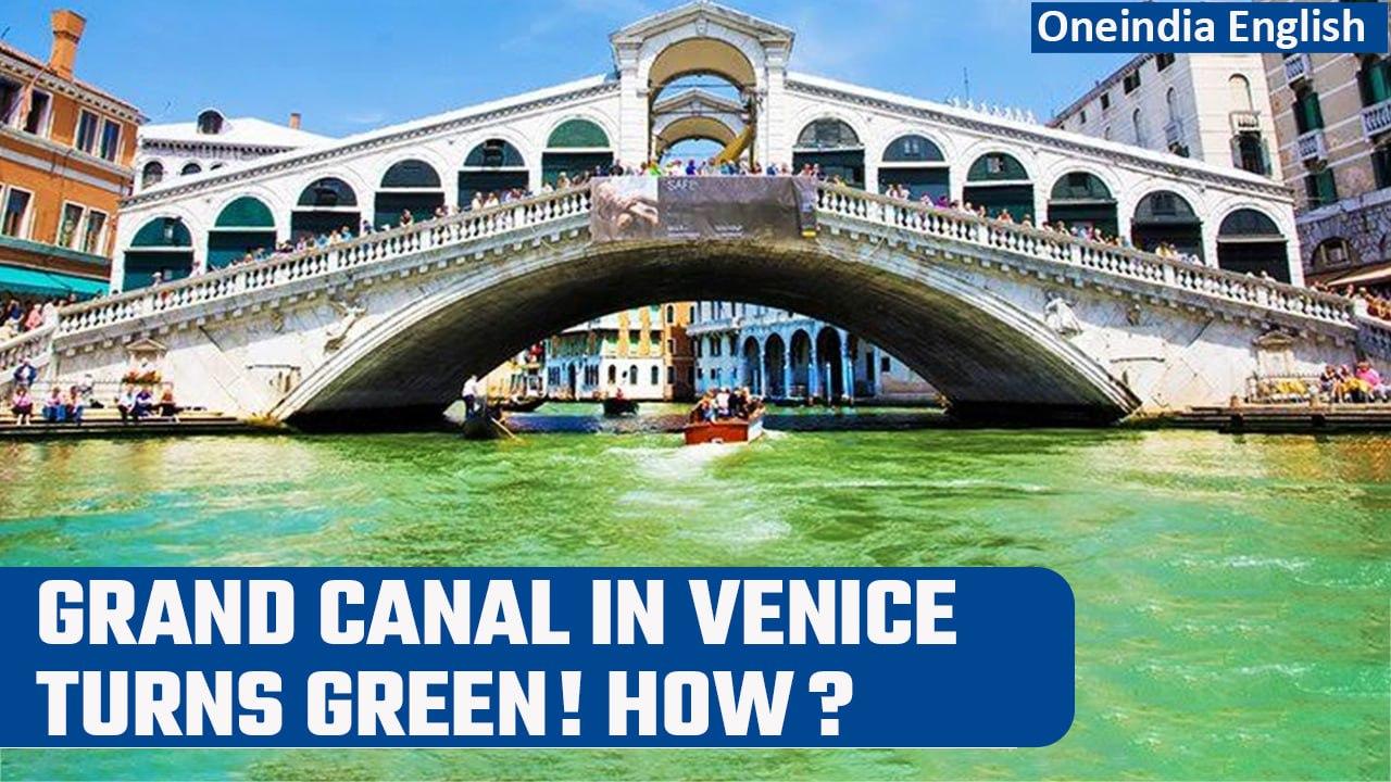 Venice: Visitors stunned as water in the Grand Canal turns bright green  | Oneindia News