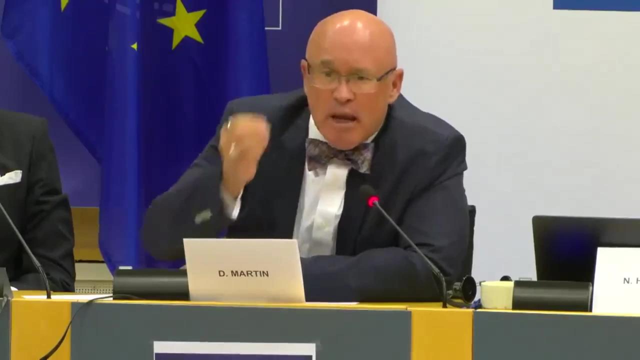 Dr. David Martin EU Parliament Testimony