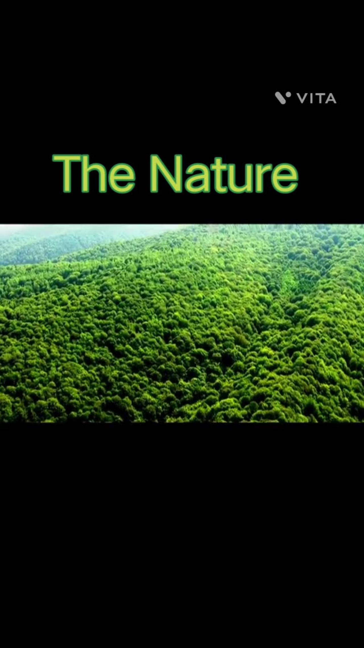 The beautiful place in the world of Nature Status video