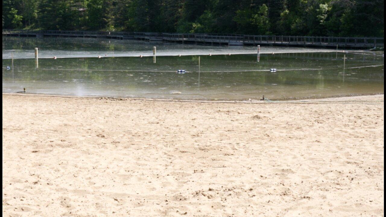 Holt's Burchfield Park swimming beach is now open