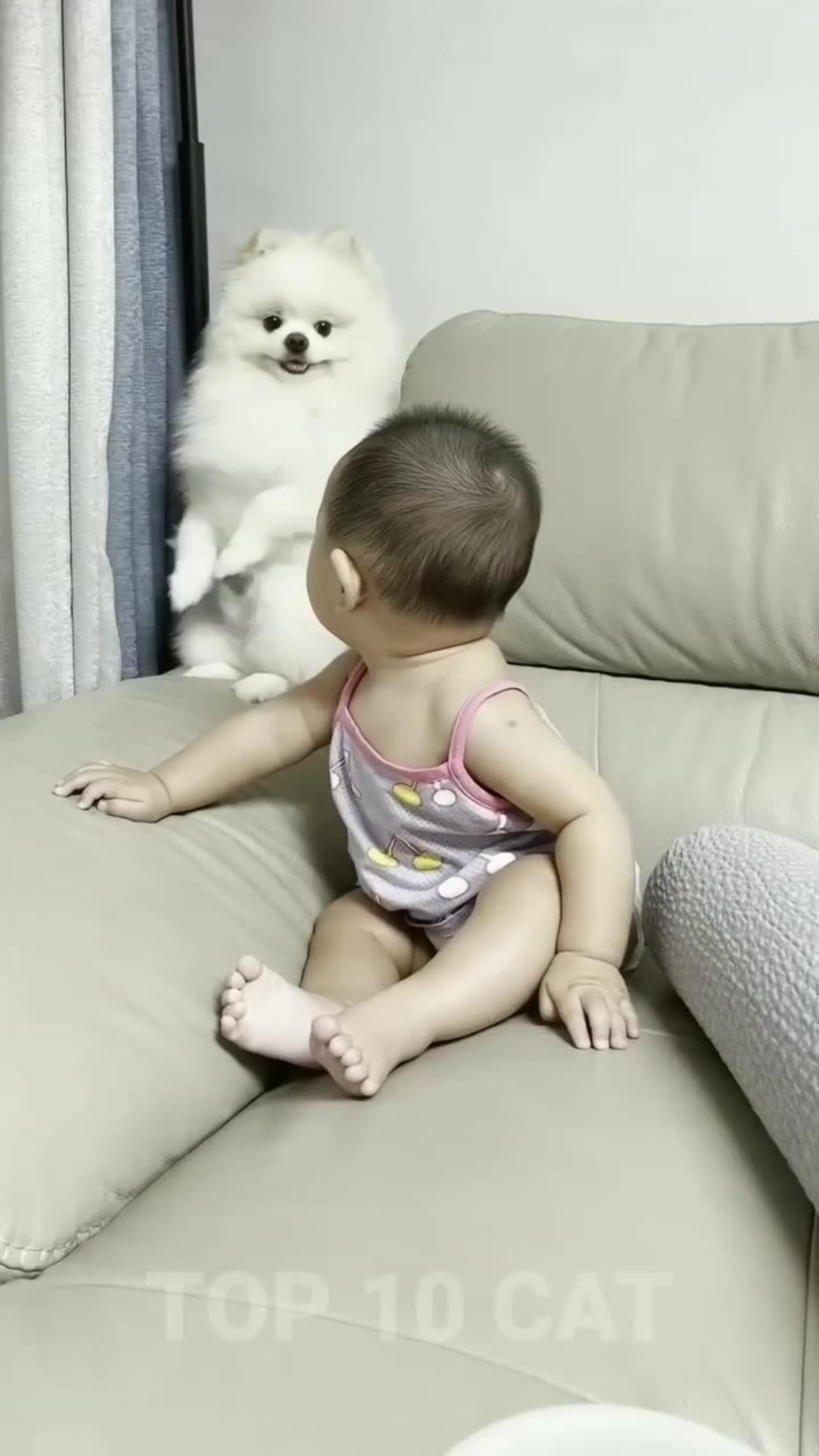 Cute dog and cute baby