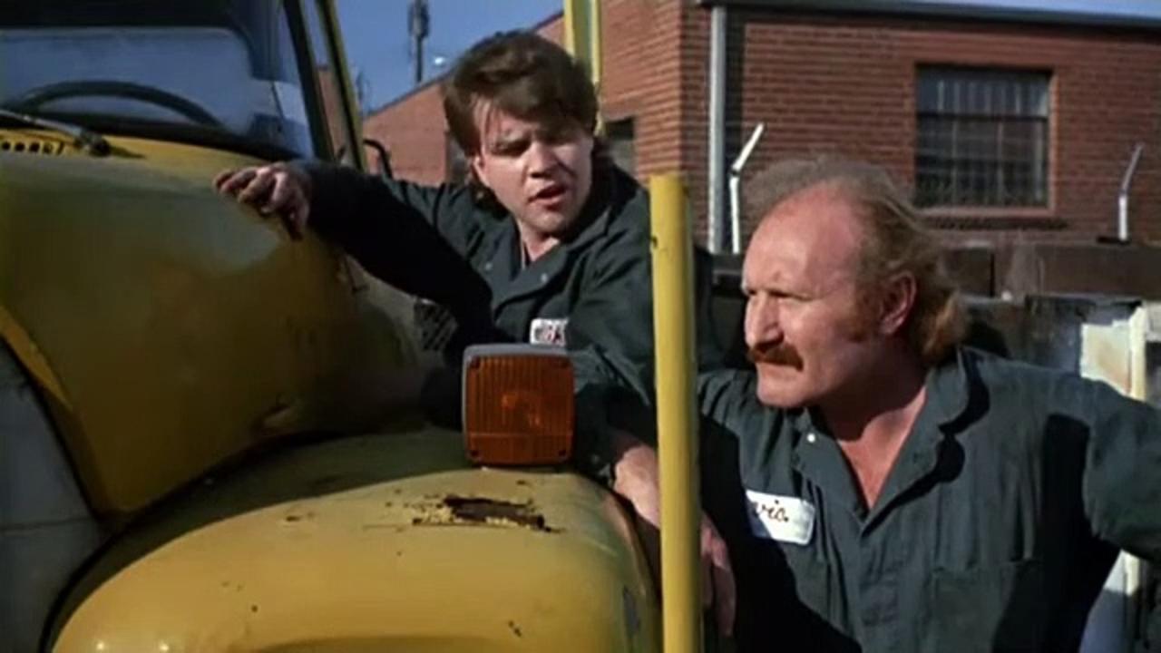 The Unbelievable Truth Movie (1989)