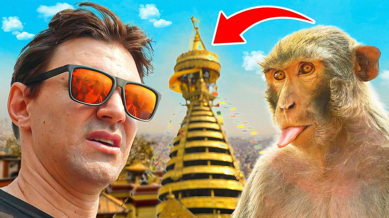 Meet the Monkeys of Swayambhu Temple