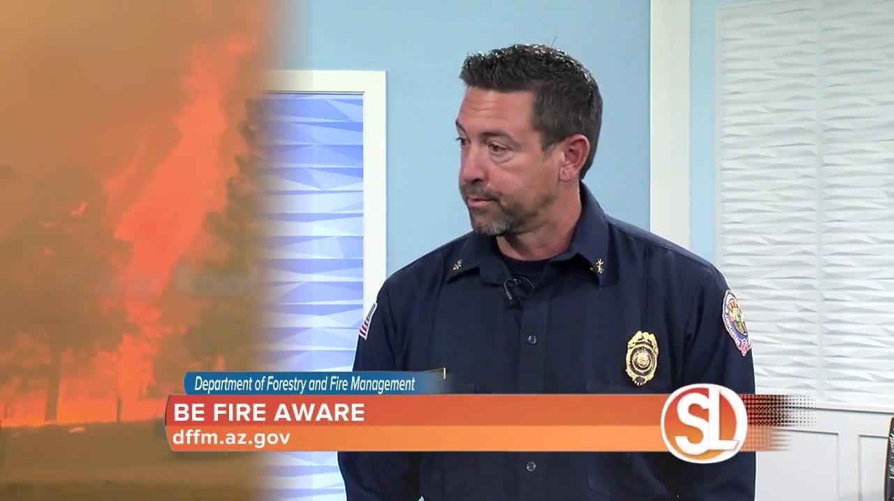 Department Of Forestry And Fire Management Has One News Page Video