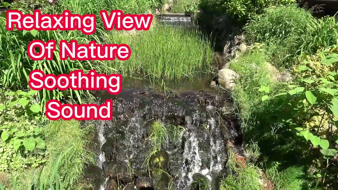 Relaxing view Of Nature Soothing Sound - One News Page VIDEO