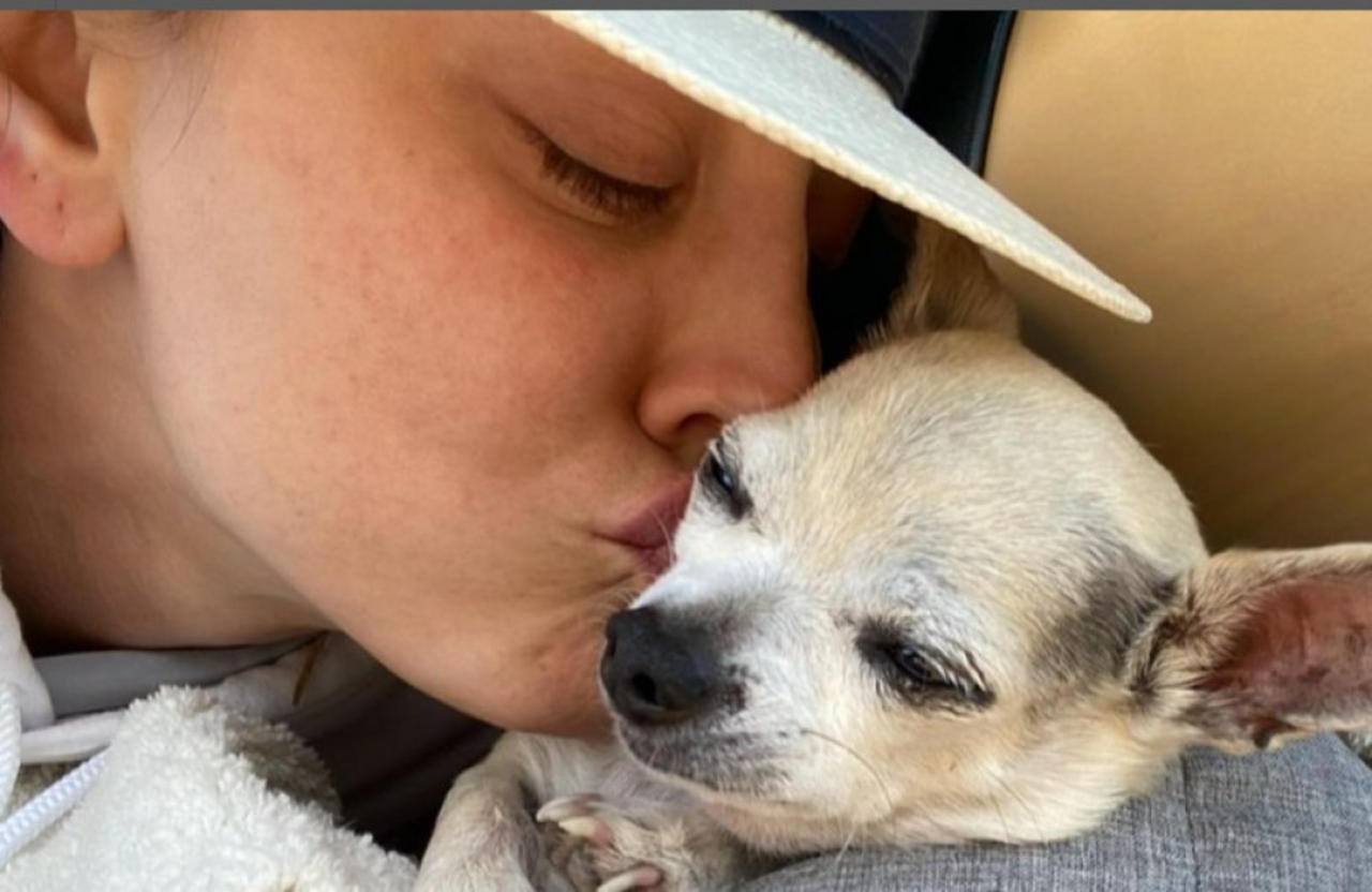 Kaley Cuoco will rescue dogs 'over and over again'