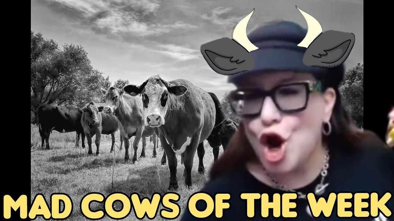 MAD COW ROUNDUP