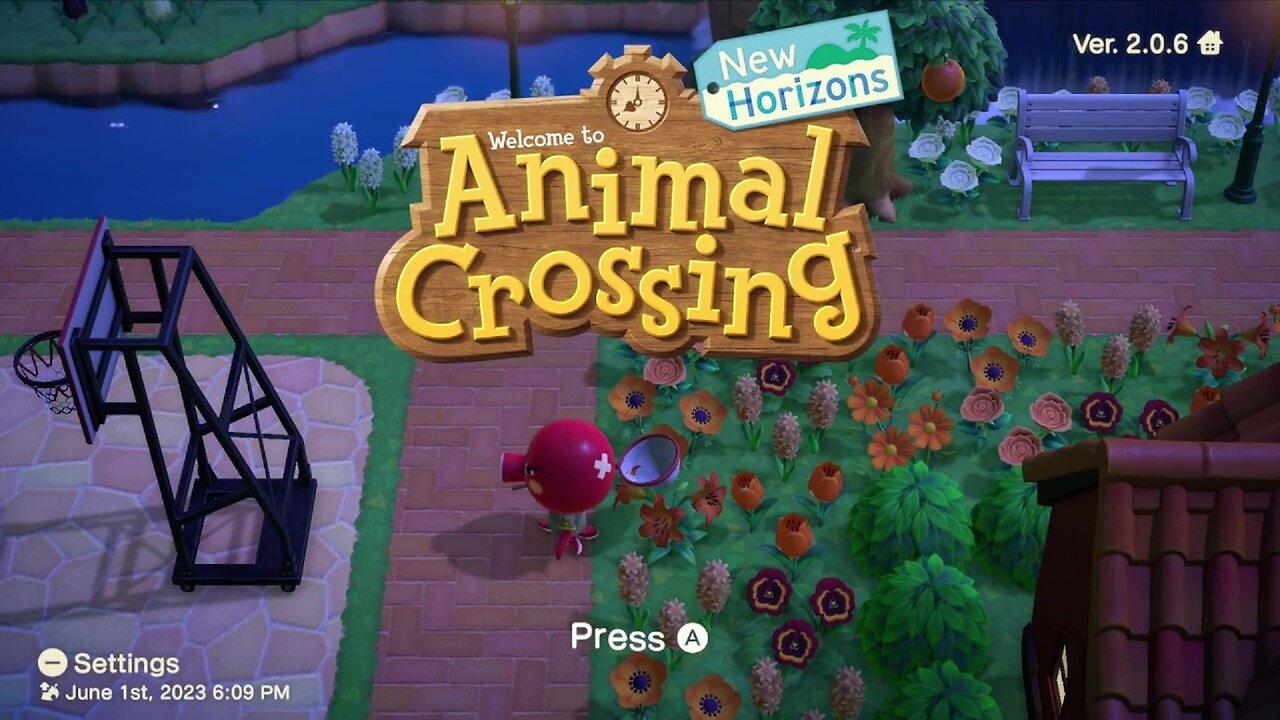 Daily Routine - Animal Crossing New Horizons (No Commentary)