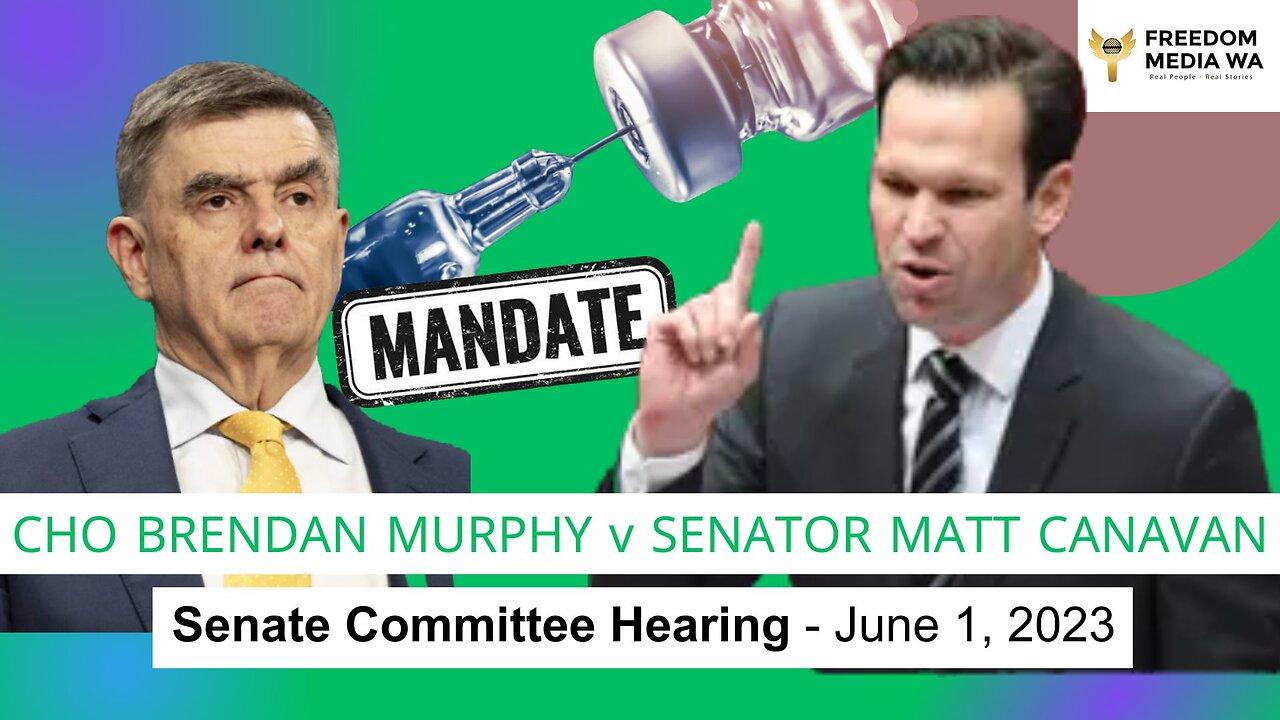 CHO Brendan Murphy versus Senator Matt Canavan