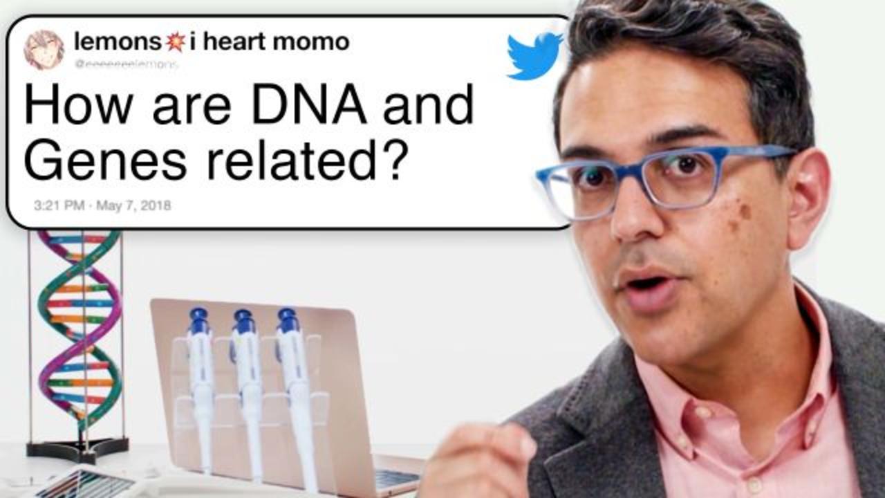 Geneticist Answers Genetics Questions From Twitter