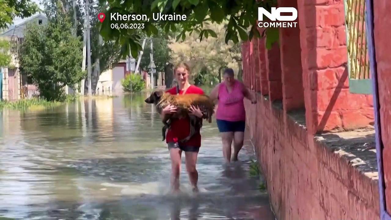 Watch: Residents seek to rescue animals from floods caused by Kakhovka Dam blast