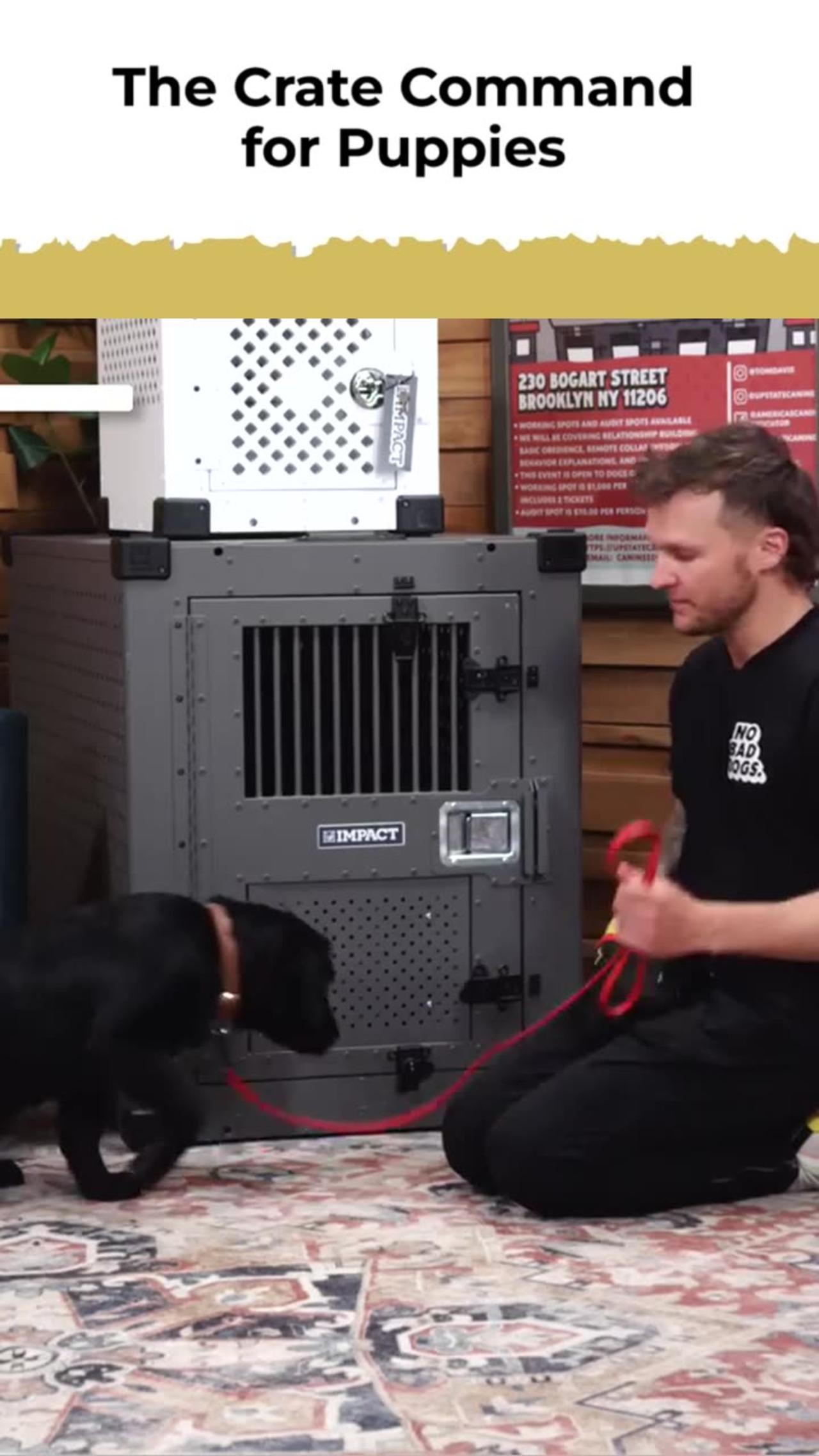 The Crate Command for Puppies