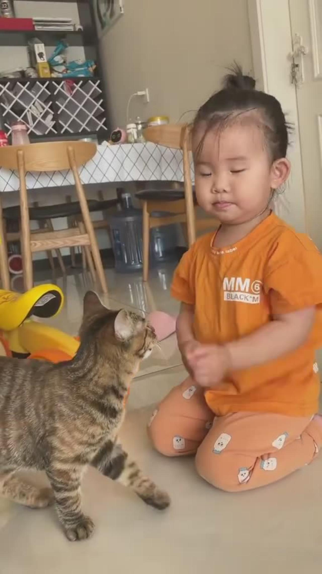 A cute cat playing with cute baby girl 😍😍awesome moment
