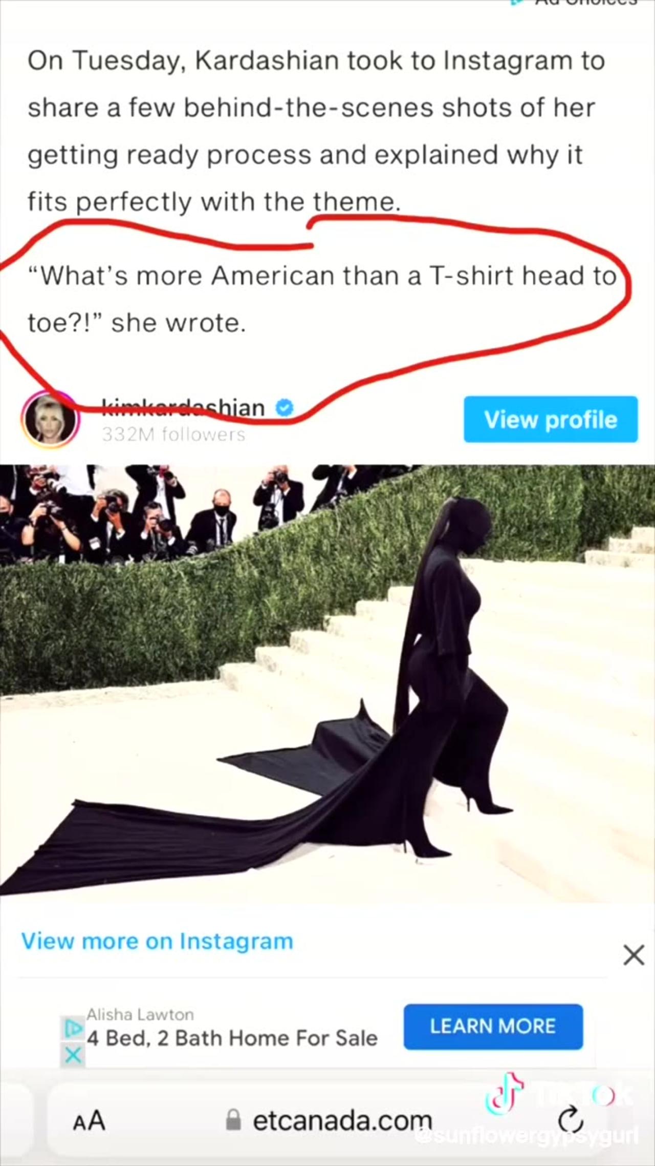 The Angelicat Tiktok Conspiracy - 7oni687