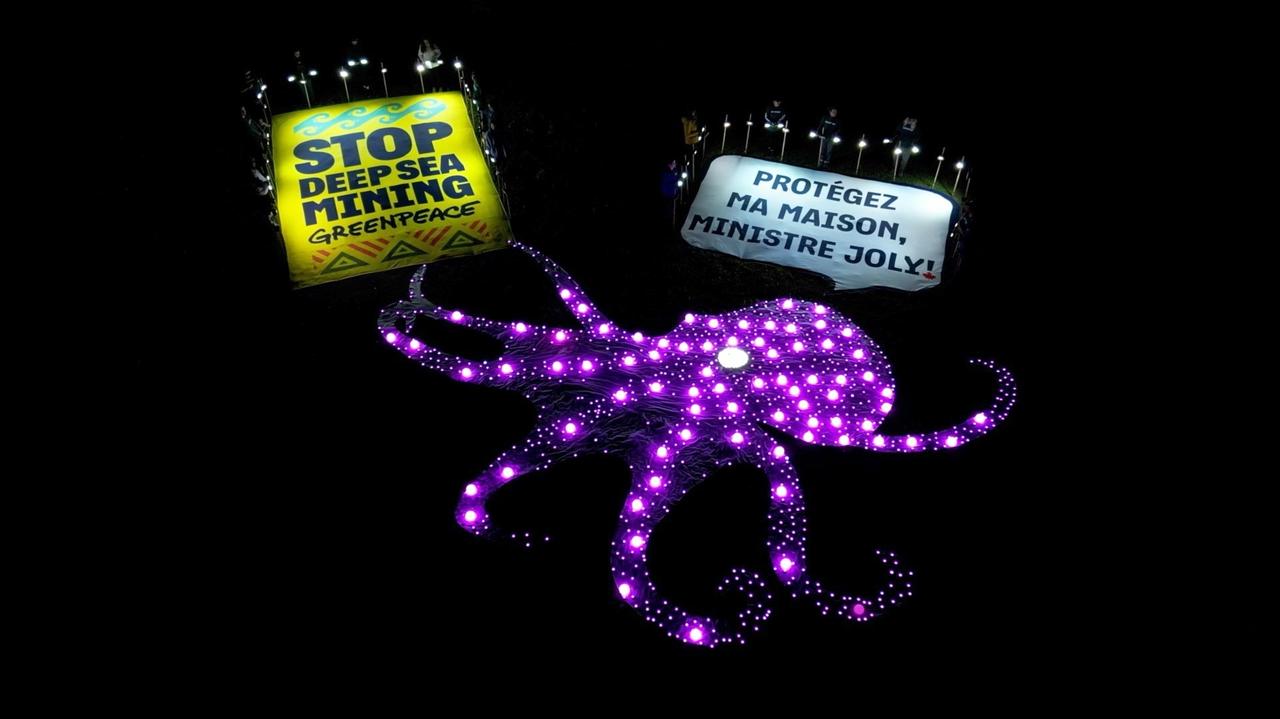 Giant Octopus Lights up in Ottawa as Protestors Urge for Deep Sea Mining Ban