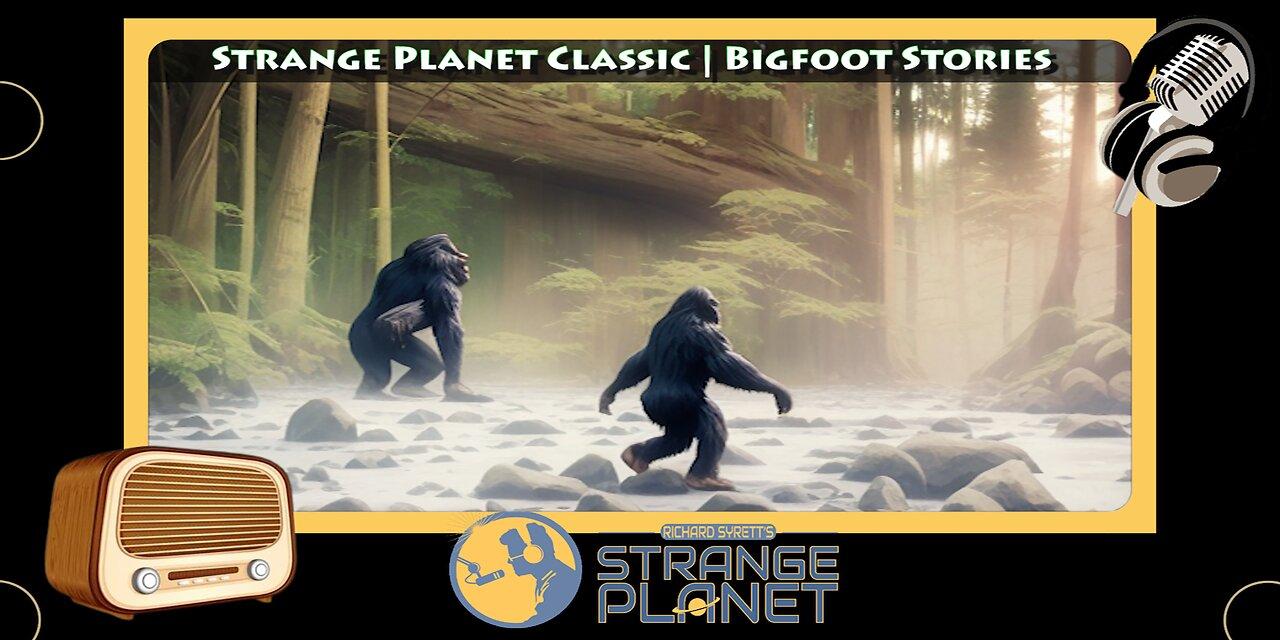 Three Hours of Bigfoot Encounter Stories | Strange Planet Classic