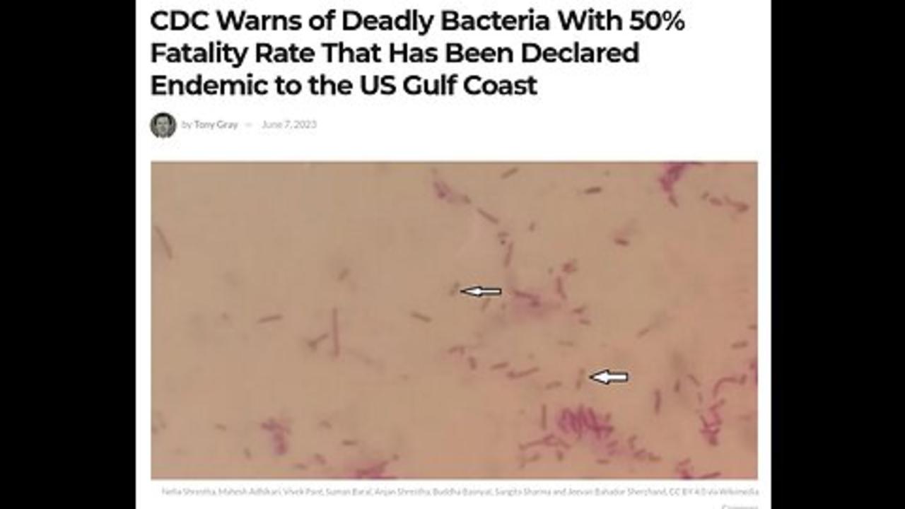 CDC WARNS OF DEADLY BACTERIA AROUND US GULF - One News Page VIDEO