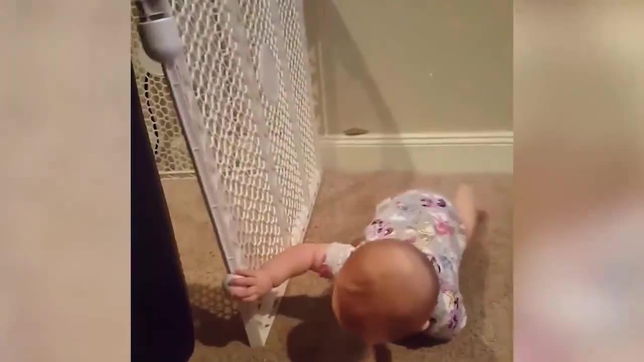 The Cutest Twin Babies On The Planet - Funny Baby Videos