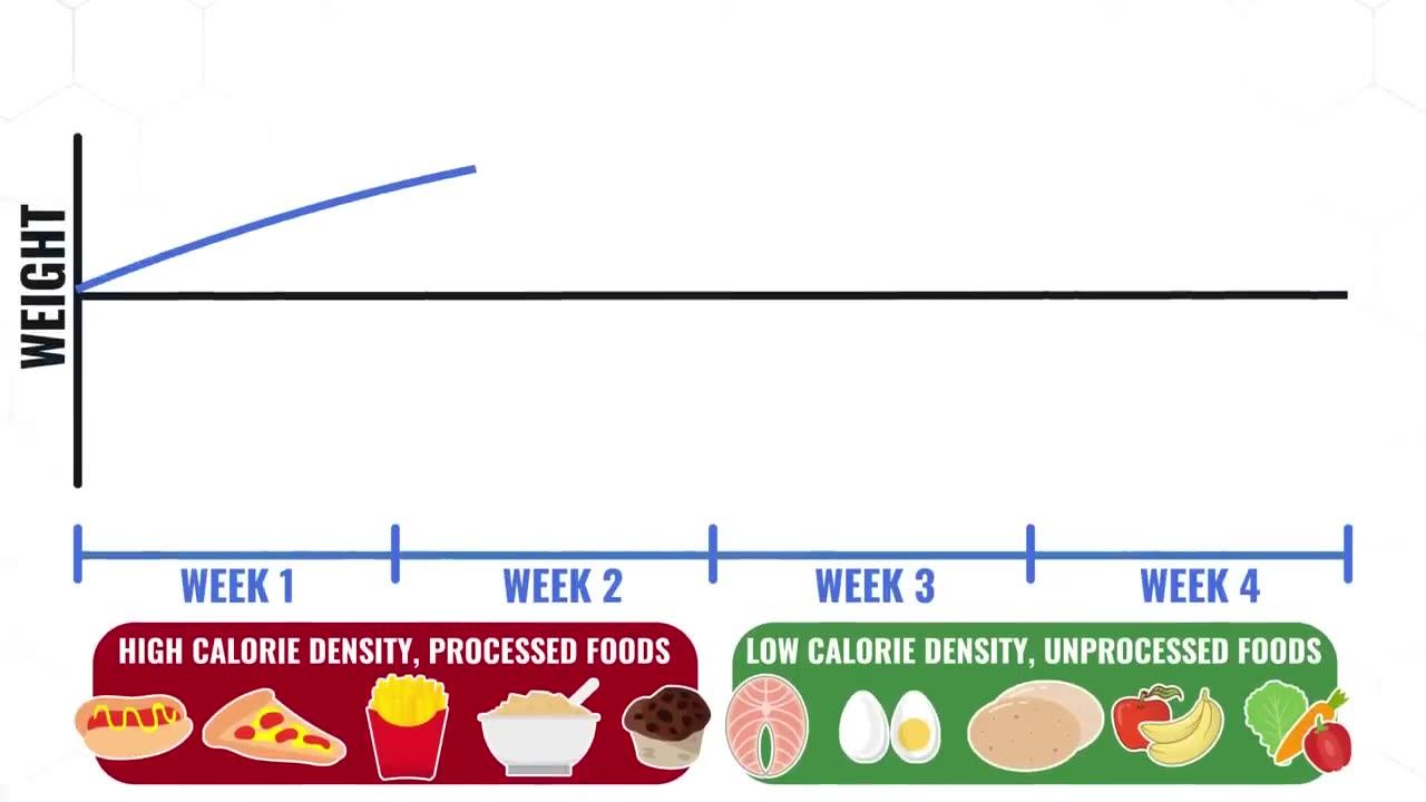 How To Eat To Lose Belly Fat 3 STAGES One News Page VIDEO how-to-eat-to-lose-belly-fat-3-stages-one-news-page-video