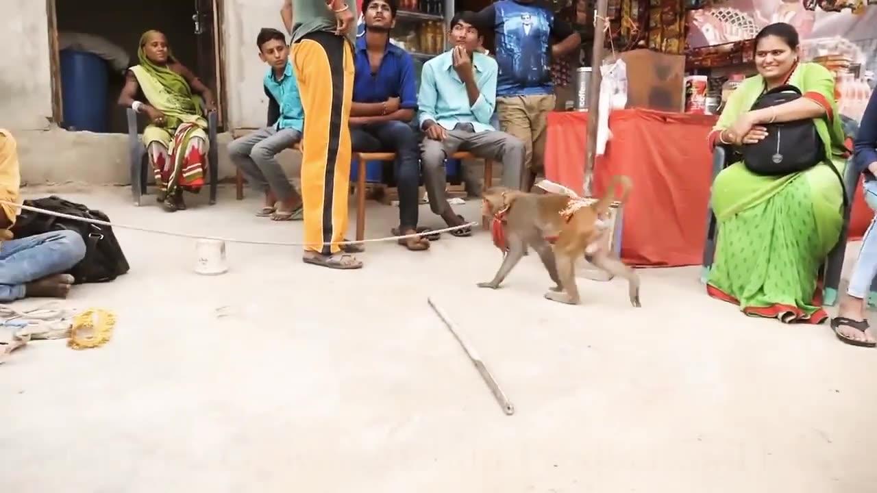 funny  indian Monkey dance