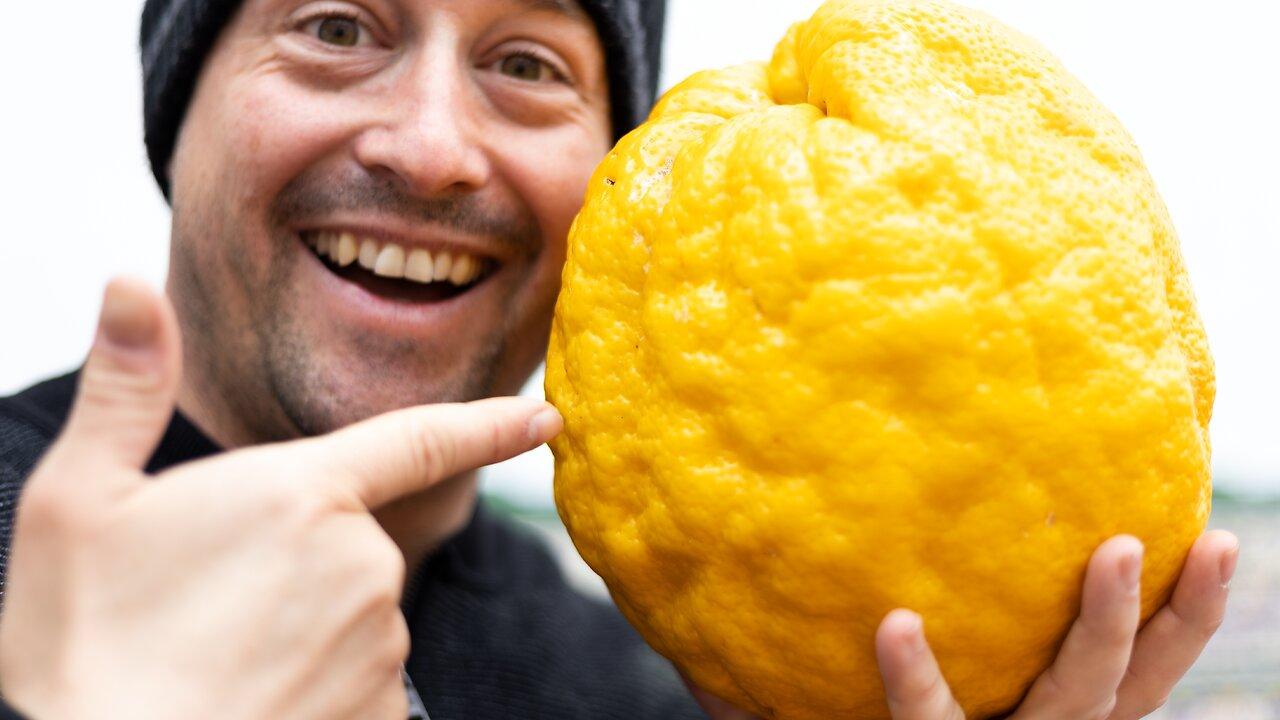The Biggest Citrus In The World!! The One News Page VIDEO
