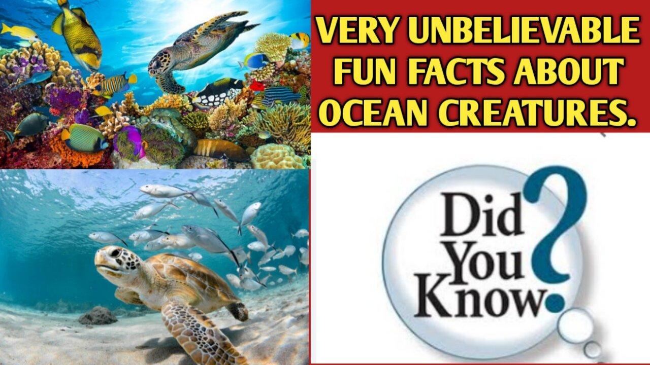 Very unbelievable fun facts about ocean - One News Page VIDEO