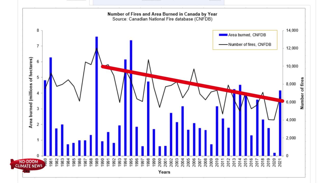 Wildfire Fact Check Canada June 2023 One News Page VIDEO