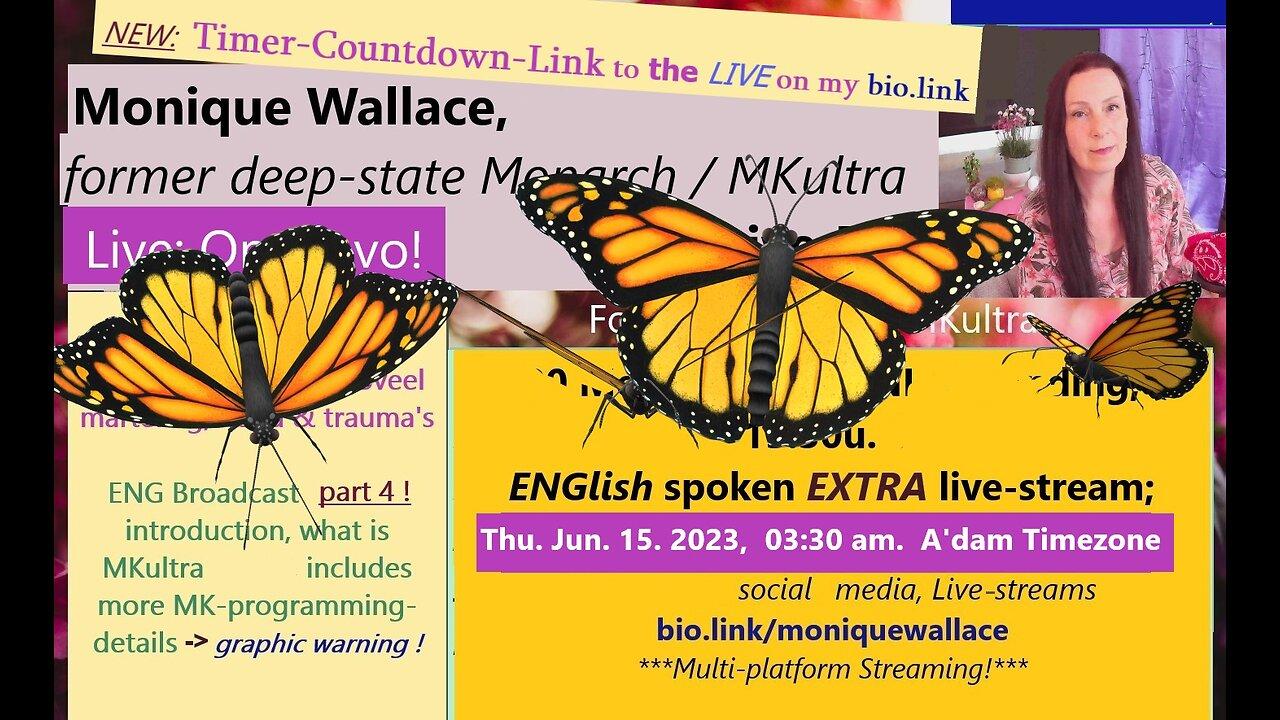 2 Youtube Channels + Rumble Stream test & One News Page VIDEO