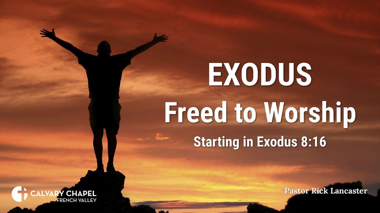 Exodus: Freed to Worship – A verse-by-verse study of Exodus – starting at Exodus 8:16