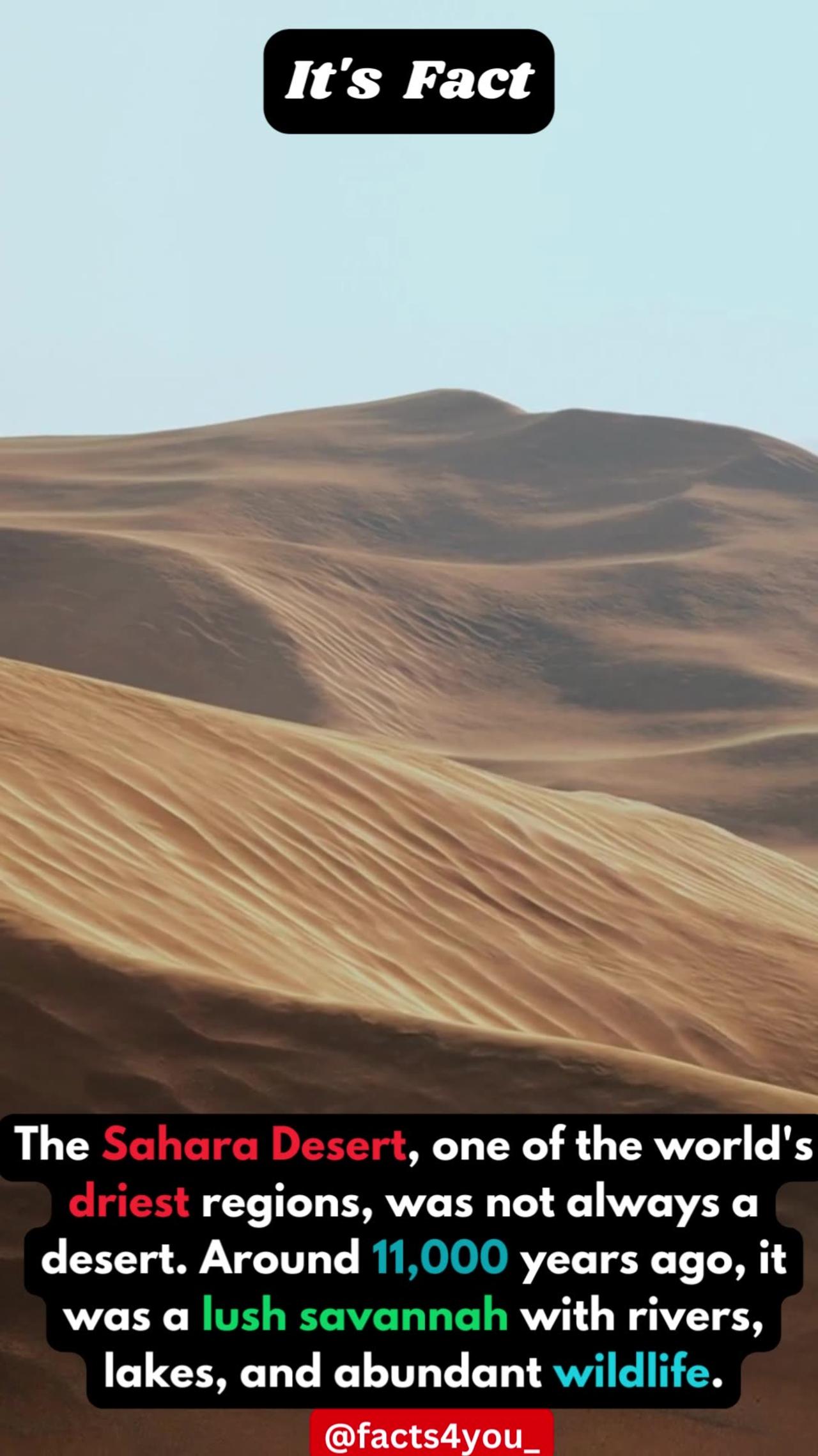 Facts About Sahara Desert | Sahara Desert