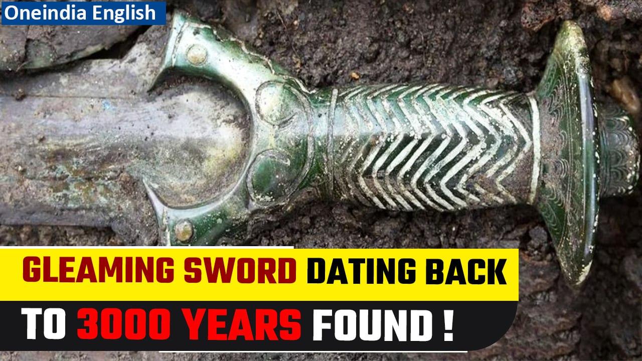 Germany: 3000-year-old, well-preserved and almost gleaming sword discovered IOneindia News