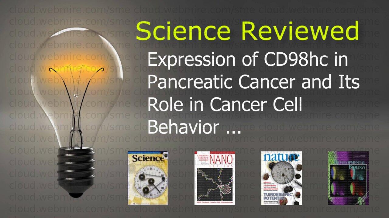 Science Reviewed 🔬 Expression of CD98hc in Pancreatic Cancer and Its Role in Cancer Cell Behavior