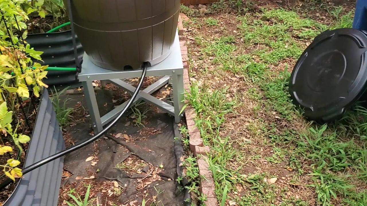 Implementing a rain barrel for the raised bed One News Page VIDEO