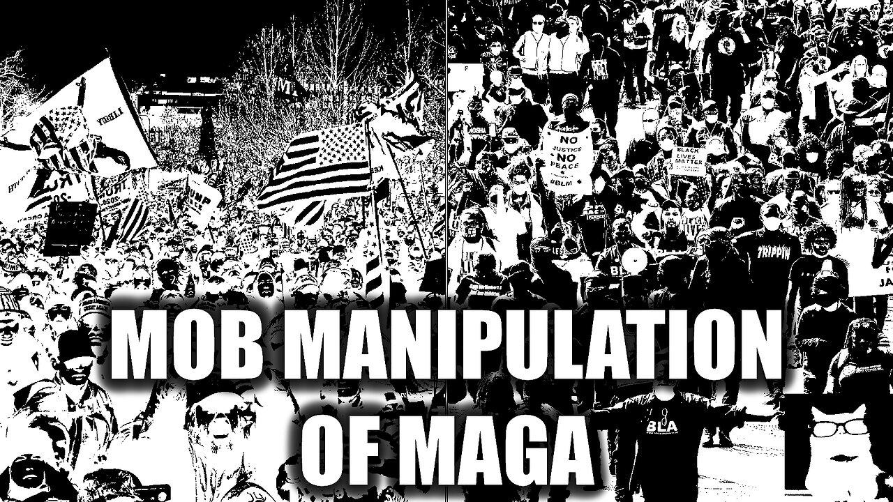 Mob Manipulation of MAGA