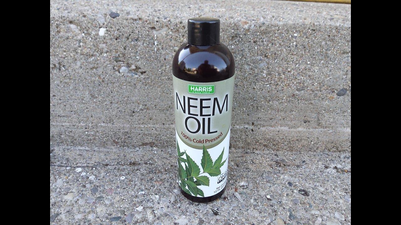 Using Organic Neem Oil On Garden Plants 5/31/23 One News Page VIDEO