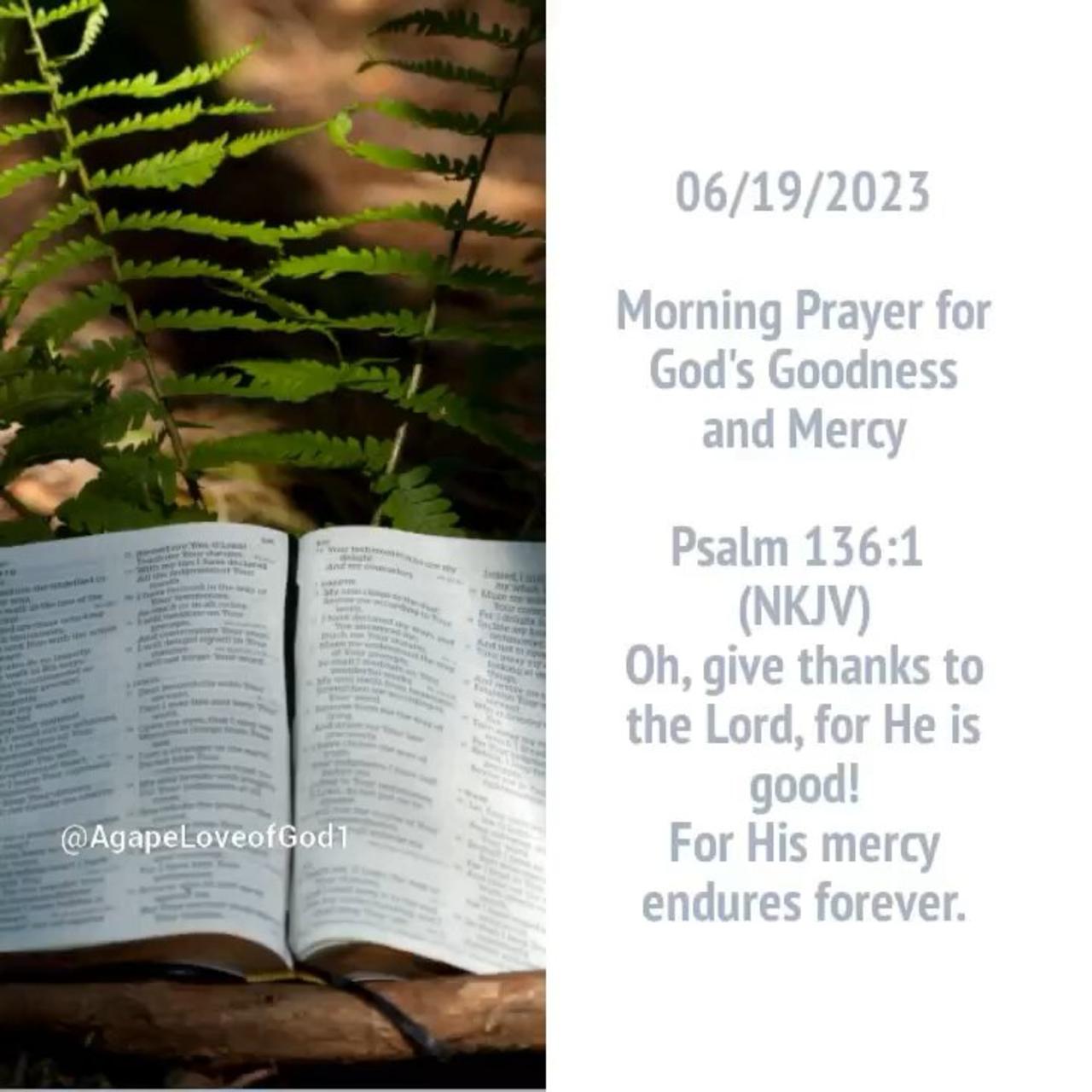 Daily Surrender: A Prayer for God's Goodness and Mercy #Shorts