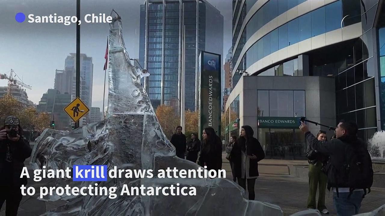 Krill featured in Chile ice sculpture to raise awareness on Antarctica
