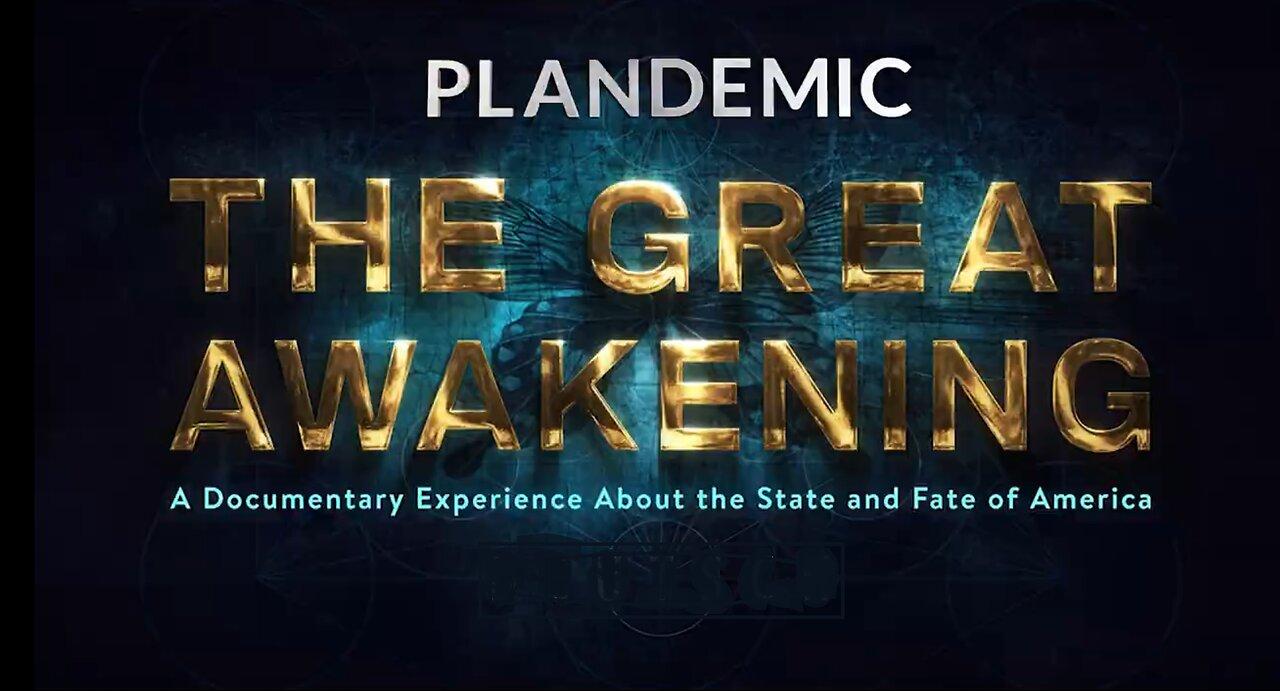The Plandemic 3; The Great Awakening