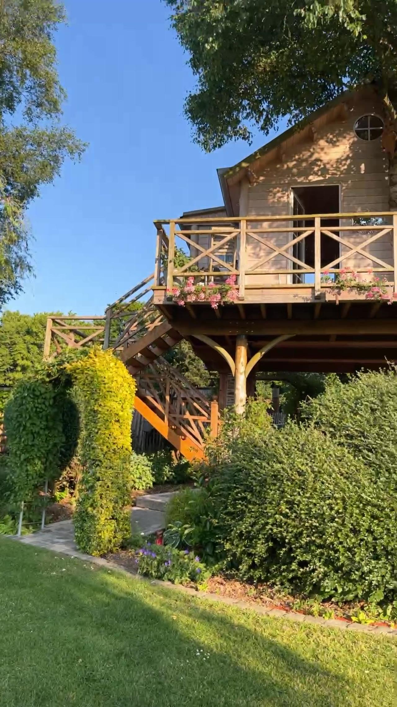 Bastogne Tree House Airbnb!