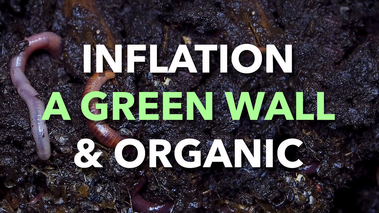 Shrinkflation, African Green Wall & Organic Produce