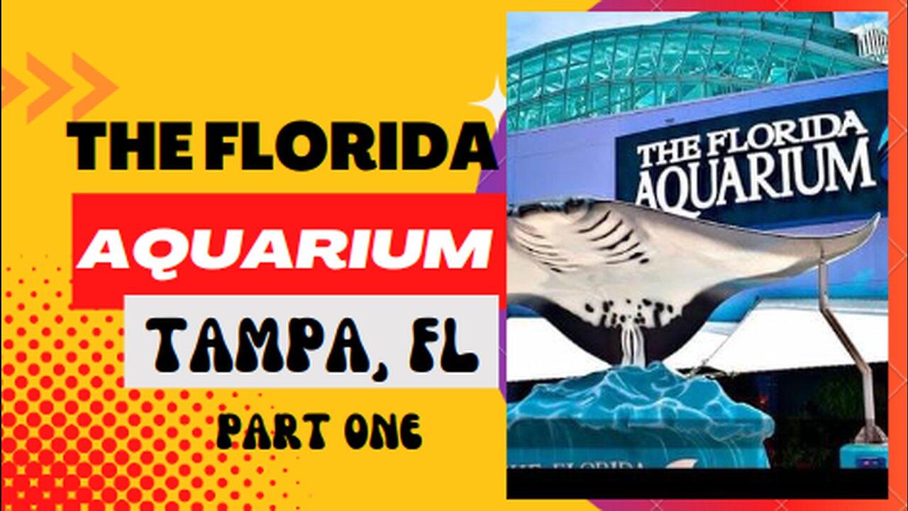 Places to go The Florida Aquarium (Part One), One News Page VIDEO