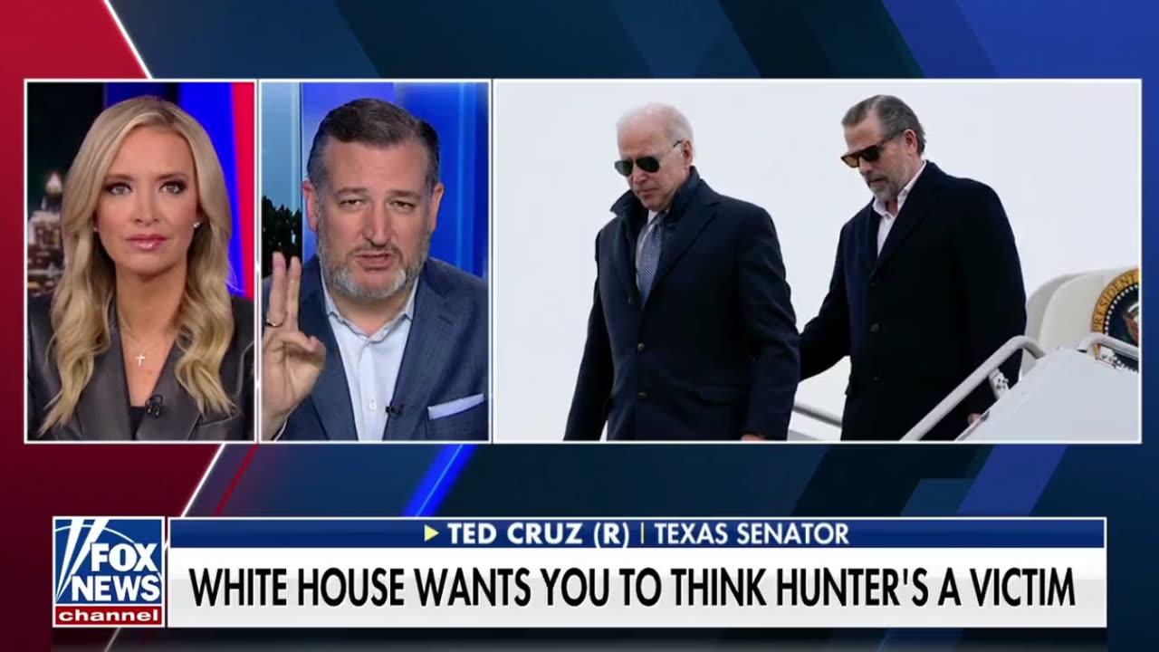 Ted Cruz Erupts Over Hunter Biden's Sweetheart Plea Deal