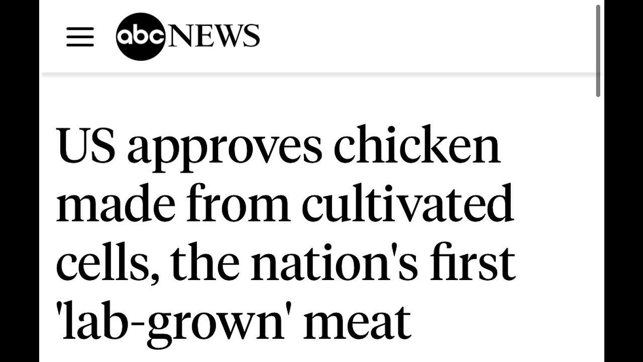 US Approves Lab Grown Meat The WEF Told us 4 One News Page VIDEO