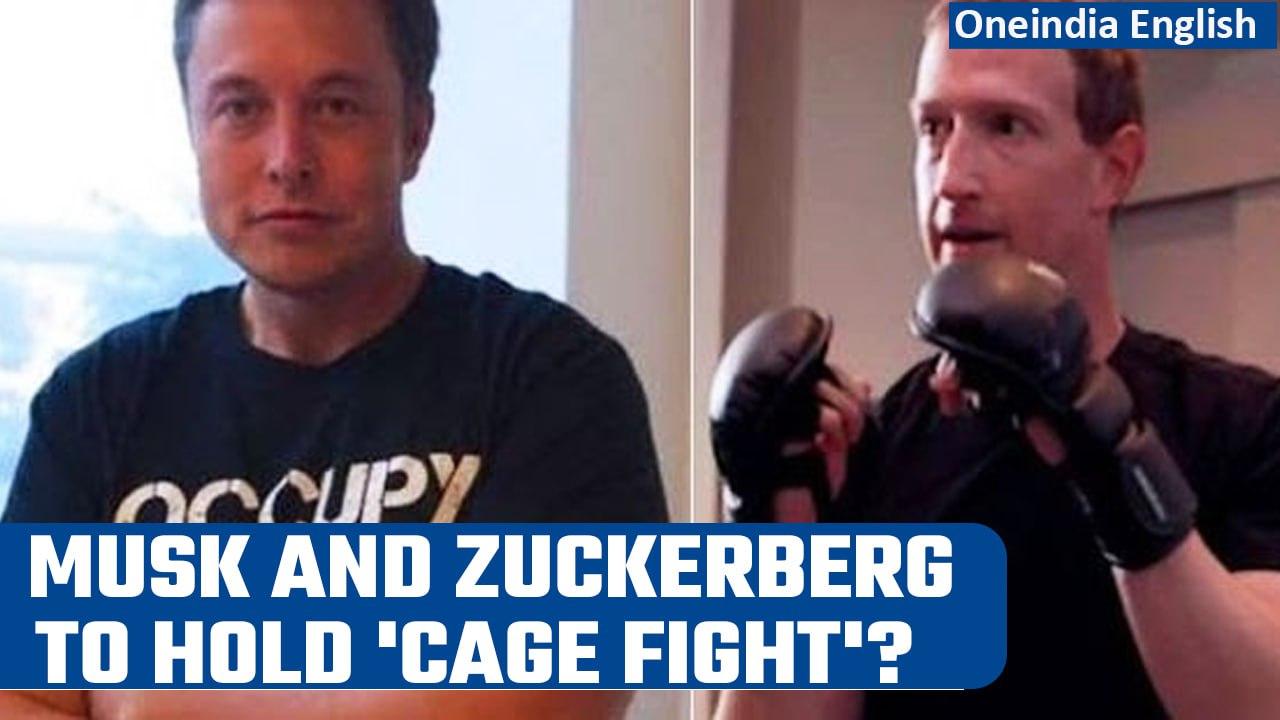 Mark Zuckerberg accepts Elon Musk’s cage match challenge; writes ‘send location’ | Oneindia News