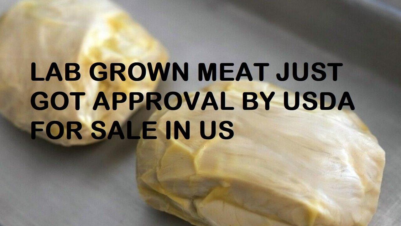 Lab Grown Meat Approved By The USDA To Now Be Sold In US.