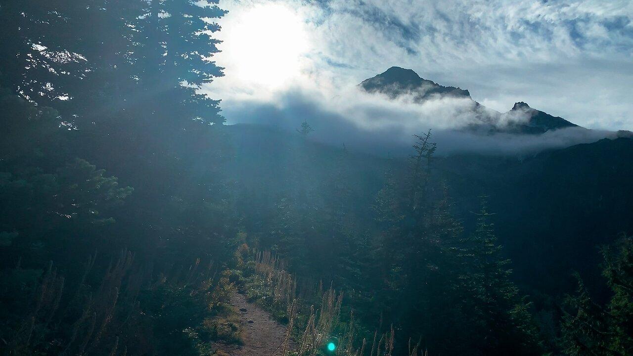 BITE-SIZED WILDS | Gorgeous, Haunting & Ethereal Mighty Mount Hood! | Timberline Loop | Oregon | HD