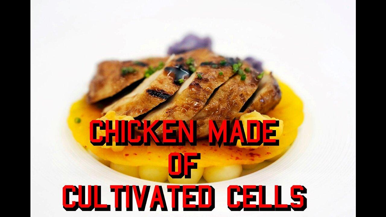 Usda Approves Chicken Made From Cultivated Cells One News Page Video 