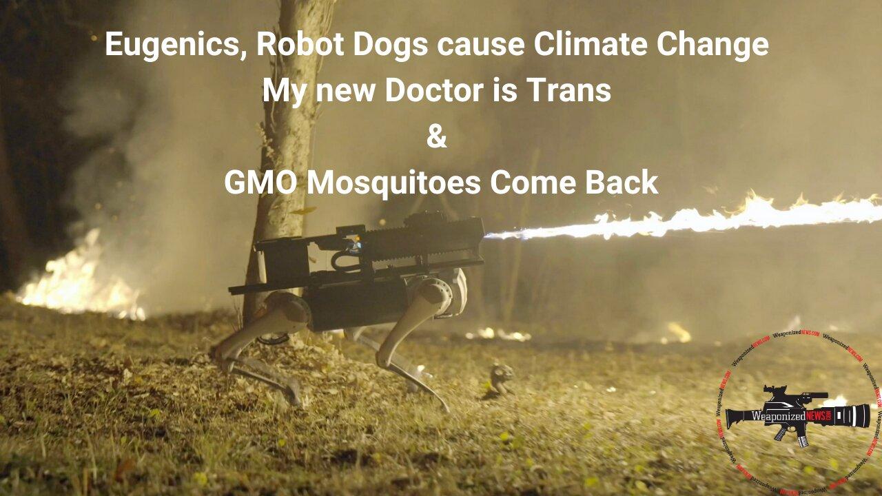 Eugenics, Robot Dogs cause Climate Change, My new Doctor is Trans & GMO Mosquitoes Come Back